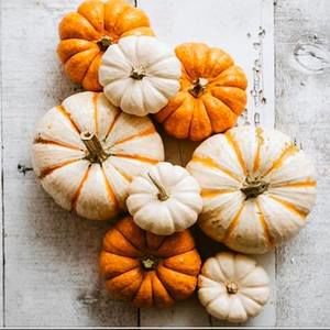 Meet your Posher, Jill